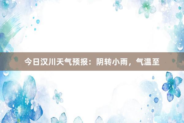 今日汉川天气预报：阴转小雨，气温至